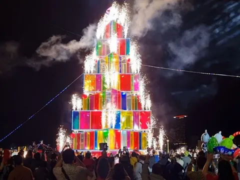 Du khách trầm trồ nhìn cây thông khổng lồ thắp sáng ở Đà Nẵng