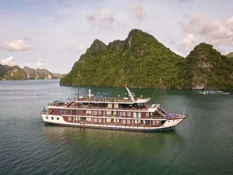 Tour du thuyền trải nghiệm trọn vẹn vẻ đẹp vịnh Hạ Long