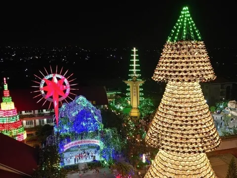 Khách trầm trồ ngắm cây thông kết từ 3.800 nón lá ở Đồng Nai