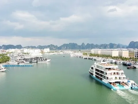 200 tỷ phú thế giới hoãn lịch đến vịnh Hạ Long