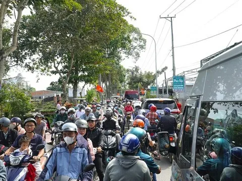 Du khách đổ về làng hoa, vườn quýt ở Đồng Tháp