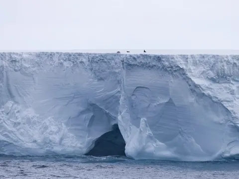 Tảng băng lớn nhất thế giới đã xê dịch