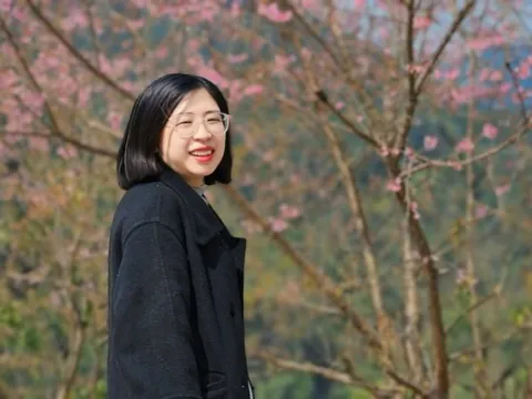 Mê mẩn những vườn mai anh đào trên cao nguyên trắng Bắc Hà