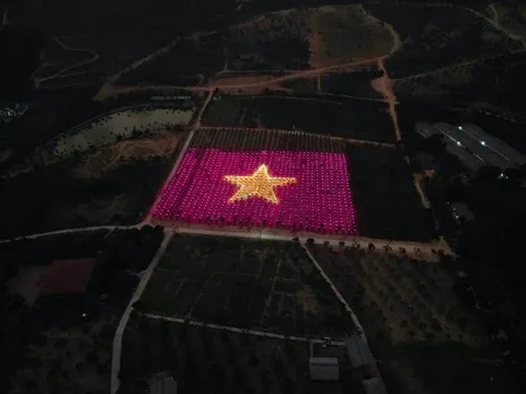 Biến vườn thanh long thành cờ tổ quốc