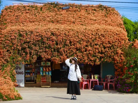 2 ngôi nhà hoa xác pháo 'nổi như cồn' ở Lâm Đồng