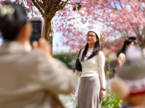 Những du khách chơi xuyên Tết tại Phú Quốc, Đà Lạt