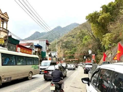Mộc Châu 'thất thủ' mùa hoa mận