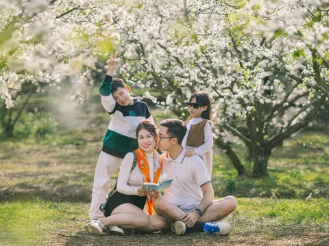 Khách đổ xô đến Mộc Châu sau Tết, cắm trại giữa vườn mận đẹp như tranh