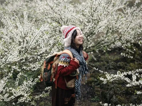 Thấy gì từ mùa hoa mận 'hot' nhất nhiều năm qua ở Mộc Châu?