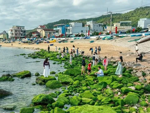 Bãi đá hình vòng cung ở Quy Nhơn hóa 'dải lụa xanh' hút khách check-in