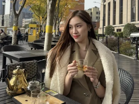 Thấy gì từ vụ Thanh Thanh Huyền bị mất vali tại Italy?