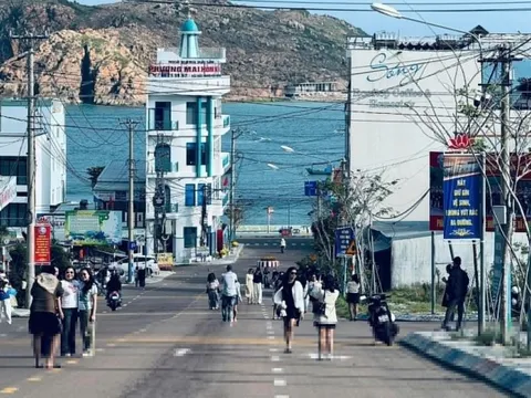 Xử lý du khách đứng giữa đường 'đu trend' Đại Lý tại Quy Nhơn