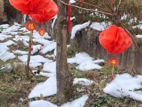 Khách 'không nói lên lời' nhìn tuyết làm từ bông gòn tại Trung Quốc