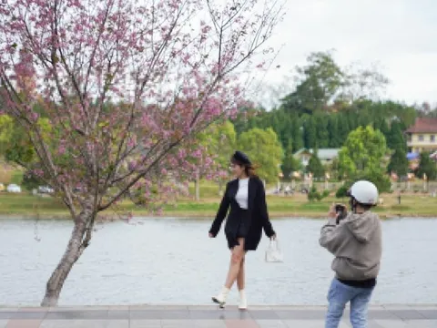 Đà Lạt kêu gọi không mua hàng rong cạnh hồ Xuân Hương