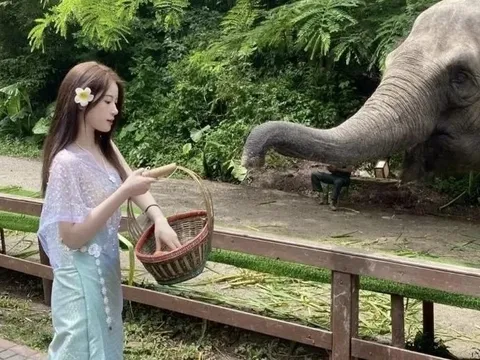 Nhóm khách ASEAN đầu tiên đến Tây Song Bản Nạp không cần thị thực