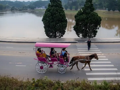 Lý do Đà Lạt cấm xe ngựa chở khách quanh hồ Xuân Hương