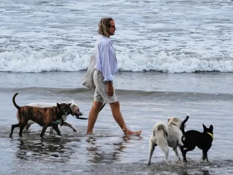 Cảnh báo nguy cơ mắc bệnh dại tại 'thiên đường' nghỉ mát Bali