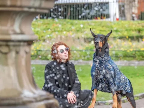 Cuộc sống trong mơ khi đi khắp thế giới chụp ảnh chó