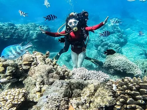 Báo Mỹ cảnh báo san hô Nha Trang bị 'hủy diệt' vì du lịch quá mức