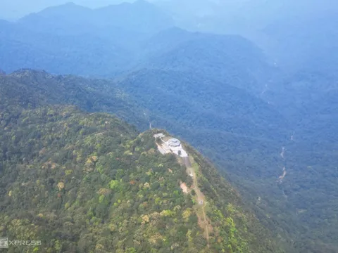 Mùa hoa đỗ quyên trắng trên đỉnh Bạch Mã