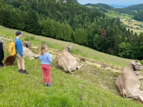 'Canh bạc' chuyển đến Thụy Sĩ của gia đình Mỹ