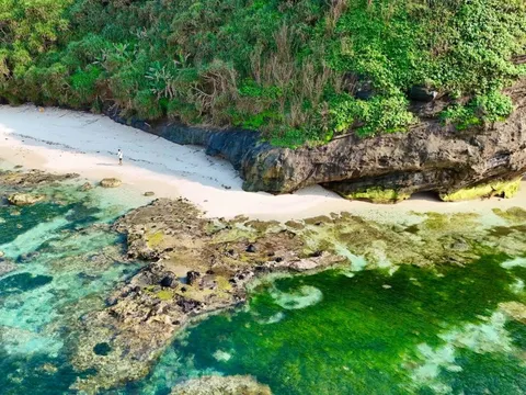 Bức tranh rêu xanh huyền ảo đẹp mê hồn ở núi lửa Lý Sơn