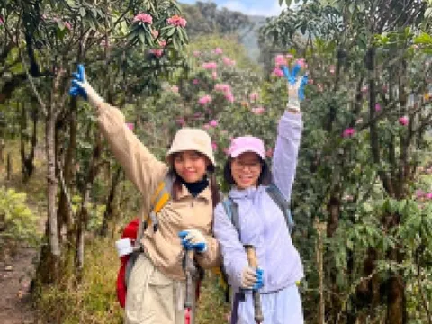 Hoa đỗ quyên nở ít, khách vẫn 'điên cuồng' trekking Putaleng