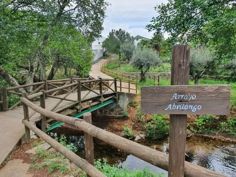 Cầu xuyên quốc gia ngắn nhất thế giới