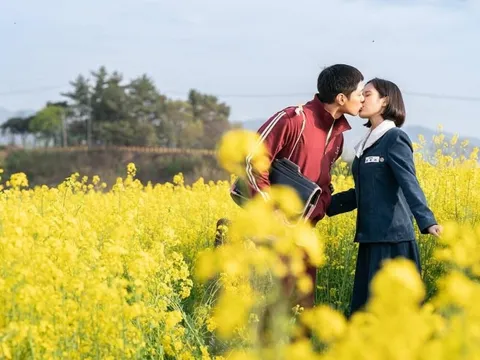 'Khi cuộc đời cho bạn quả quýt' có cứu nổi du lịch Jeju?