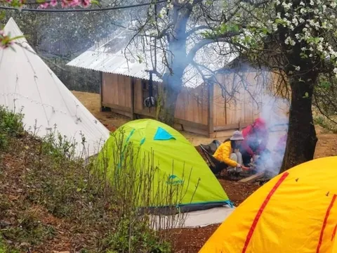 Cạn phòng homestay bản Nậm Nghiệp mùa hoa táo mèo đẹp nhất 5 năm