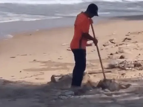 Phạt 3,5 triệu đồng người chôn rác xuống bãi biển Mũi Né