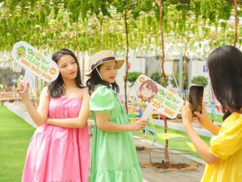 Tắm biển sảng khoái, khám phá vườn nho xinh tại Suối Tiên