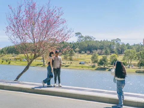 Homestay Măng Đen cạn phòng, Đà Lạt vẫn 'thoáng' dịp 30/4