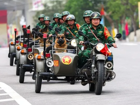 Quân đội và cảnh khuyển Việt trên báo ngoại