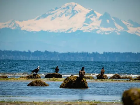 Cuộc sống tại thị trấn Mỹ nằm lọt thỏm trong lãnh thổ Canada