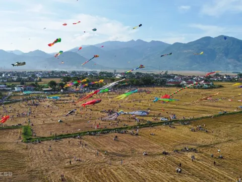 Diều 'hải sản' tung bay trên đồng lúa Khánh Hòa