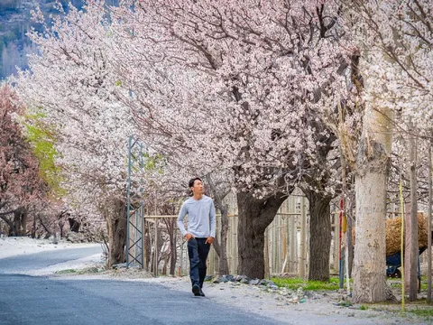 Lạc bước giữa mùa xuân Pakistan