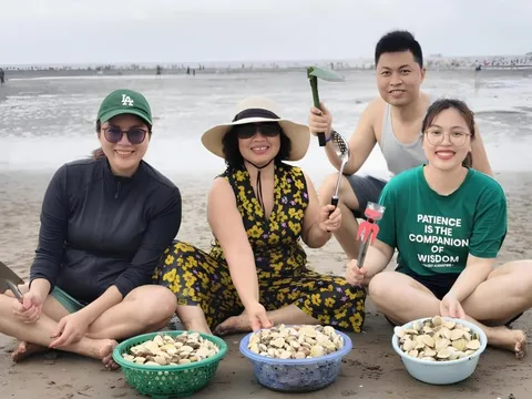 Cào ngao thành 'trend' ở bãi biển Hải Phòng dịp lễ