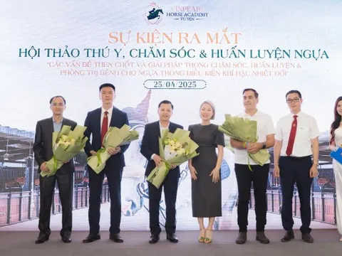 Chuyên gia quốc tế quy tụ tại Học viện cưỡi ngựa Vinpearl Vũ Yên