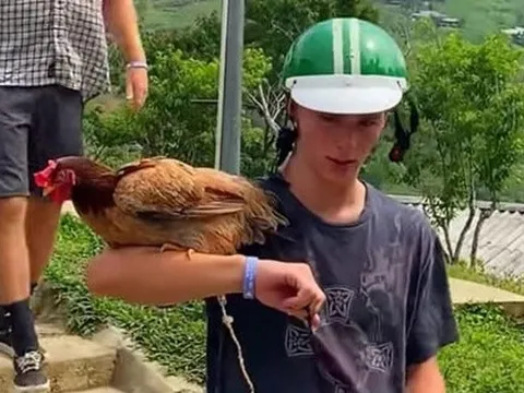 Khách Tây hài hước ôm gà như đại bàng tại Hà Giang