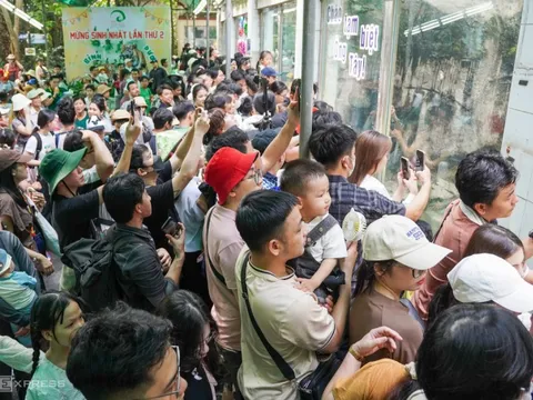 Khách dự tiệc sinh nhật và chia tay hổ nghỉ hưu ở Thảo Cầm Viên Sài Gòn