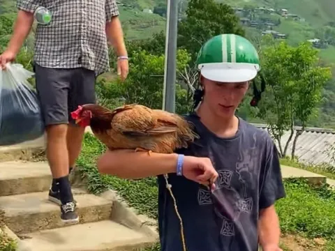 Khách Tây dắt gà cưng đi khắp Hà Giang