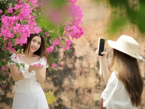 Khách đổ xô tìm con đường hoa giấy 'sống ảo' tại Nha Trang
