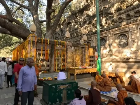 Khách Việt choáng ngợp khi thăm cây bồ đề nơi Phật đắc đạo