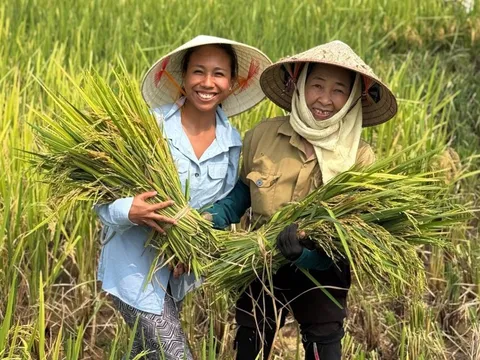 Dẫn khách Tây đón con tan học, thăm bà đẻ, xem nghĩa trang
