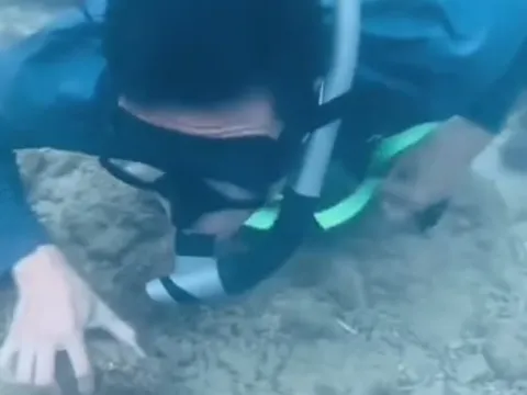 Nhắc nhở TikToker lặn ngắm san hô ở Nha Trang