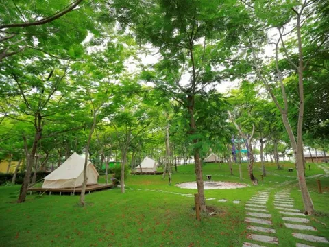 TTC Van Phong Bay Resort ra mắt chương trình nghỉ dưỡng hè cho trẻ