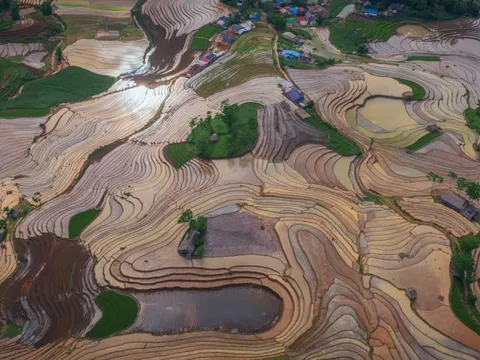 Ruộng bậc thang Y Tý mùa nước đổ