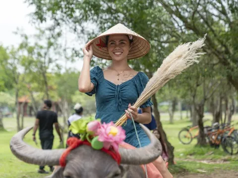 Rợp khách đến Ninh Bình ngắm Tam Cốc mùa vàng
