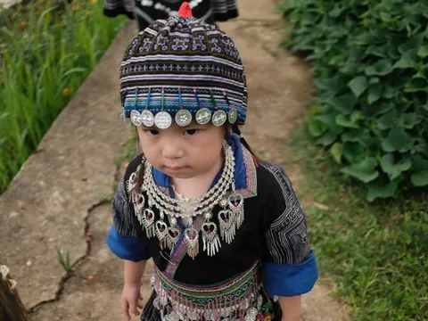 Ảnh du lịch Mù Cang Chải gây chú ý của 'Pam Yêu Ơi'